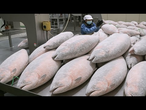 Salmon Processing & Seitan Dough Factory Tour – Taiwan’s Amazing Food Production