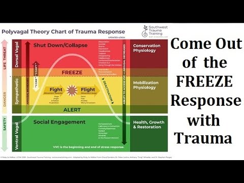How to Come Out of Freeze Response in Trauma: Polyvagal Theory & Somatic Experiencing