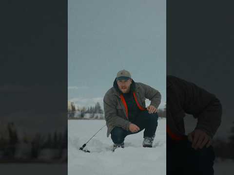 Filming Northern Ice Fishing #icefishing #fishing