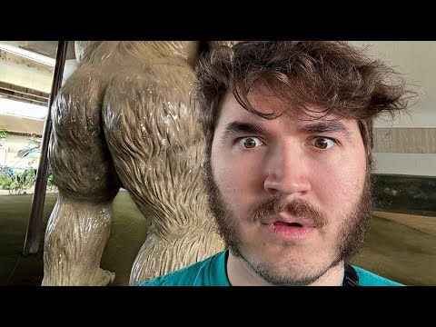 Clips That Made Schlatt Famous 5