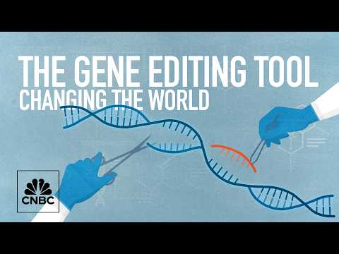 CRISPR-based gene editing revolutionized medicine—what's next?