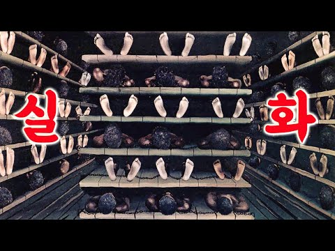 🔥"No Hope, No Escape"🔥The story of a modern slave who had to give up on being a human being!