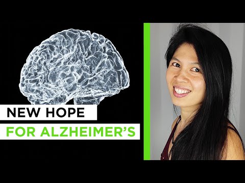 How a Flickering Light Holds Promise in Alzheimer’s Treatment and Prevention | Dr. Mai Nguyen