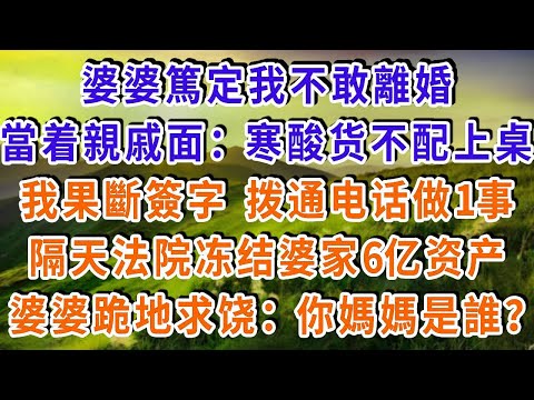 婆婆篤定我不敢離婚，當著親戚面罵我：寒酸貨不配上桌吃飯，我果斷簽字，撥通電話做1事，隔天法院凍結婆家6億資產，婆婆跪地求饒：你媽媽是誰？#雅婷講故事#為人處世#生活經驗#情感故事#晚年哲理#說故事