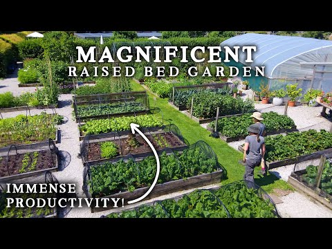 Exquisite Kitchen Garden Supplies Michelin Star Restaurant with No Dig Produce