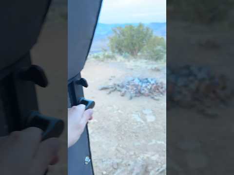 Strange Surprise at Our Camper Door