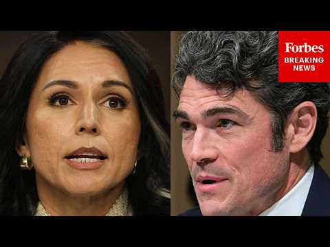 BREAKING NEWS: Tulsi Gabbard Delivers Opening Statement To Senate After Joe Kent Resignation
