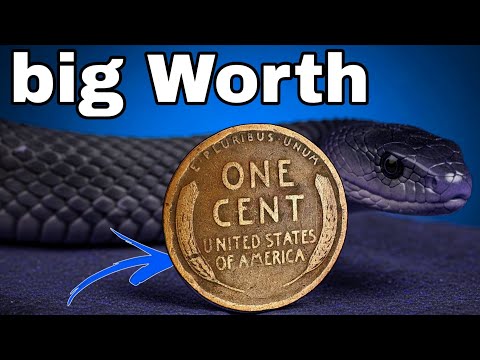 Rare Lincoln Wheat Pennies Worth a Fortune! Top 5 Coins That Could Make You Rich”