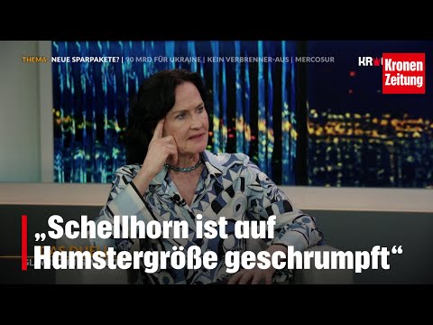 "Schellhorn has shrunk to the size of a hamster" | krone.tv THE DUEL