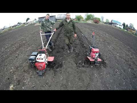 Сравниваем "ОКУ" и "БРАЙТ" на культивации.Соревнования мотоблоков!!!