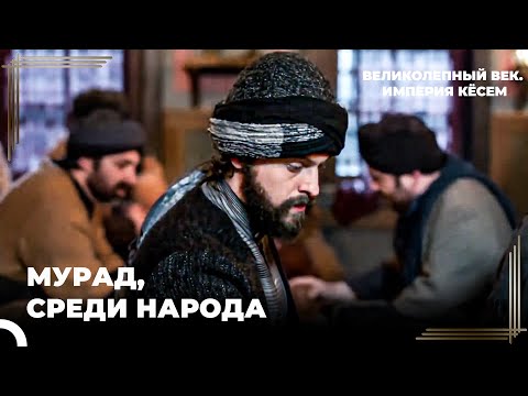 Наказание За Оскорбление Падишаха | Великолепный век. Империя Кёсем Серия 141