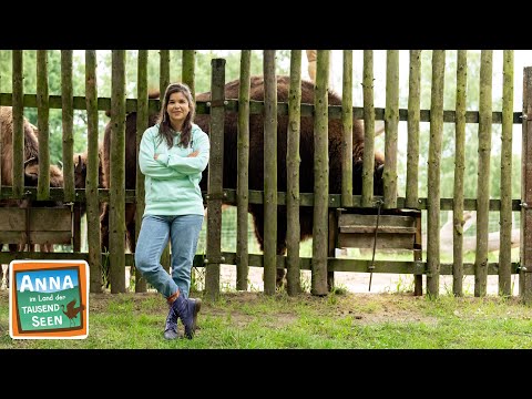 Die Riesen des Waldes | Reportage für Kinder | Anna im Land der tausend Seen | 3