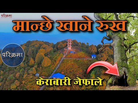 मान्छे खाने रुख जेफाले मोरङ | Jefale Morang #parikrama