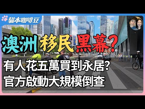 2025年澳洲配偶签证变成灰色产业？从弱势女性被利用到中介跨国运作，真相比想象更黑暗 | 制度漏洞越补越大，澳洲移民系统被假配偶攻陷？| 澳洲与新西兰的移民生活深度分享 | 猫本咖啡豆