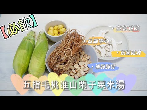 【春天必飲】五指毛桃淮山栗子粟米湯︳益氣養陰︳健脾養胃︳益肺寧心