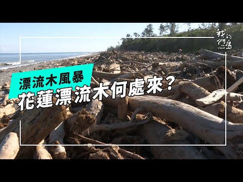 花蓮居民：八八風災後最大量的漂流木｜漂流木風暴：花蓮漂流木何處來？何處去？(公視我們的島 第1291集 2025-01-20)