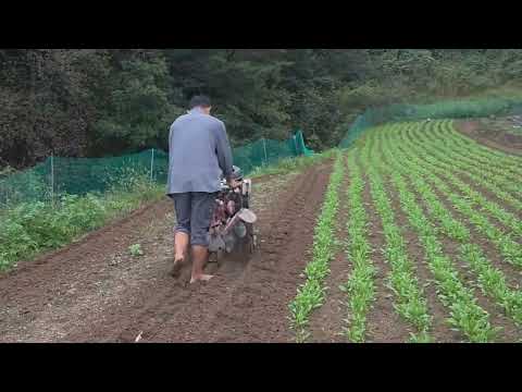 #만평농장 #10월16일