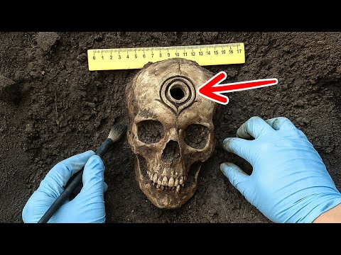 Farmers Found a 300-Year-Old Skull Unknown Human Species Skull