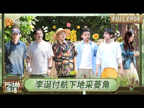 [CC] FULL EP4：Water-Caltrop Harvest: Li Dan & Fu Hang's Farm Day | Back To Field | MangoTV
