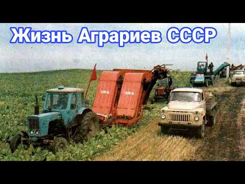 Жизнь аграриев в СССР. Чем занимались колхозы осенью.