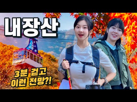🍁3분 걷고 즐기는 대한민국 단풍 원탑 | 안 가보면 모르는 꿀팁가득 🔥 | 내장산