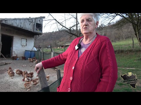 Hljebe sjedi da te jedem,toga nema,moraš ustat radit