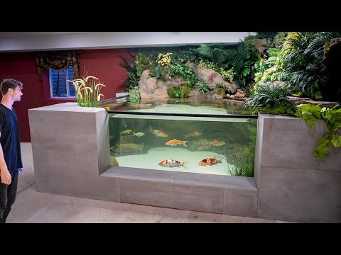 One Year Ago I Built an Ecosystem, This Happened