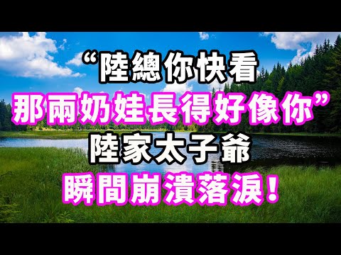 “陸總你快看，那兩奶娃長得好像你！”陸家太子爺瞬間崩潰落淚！#爽文#大女主#現實情感#家庭