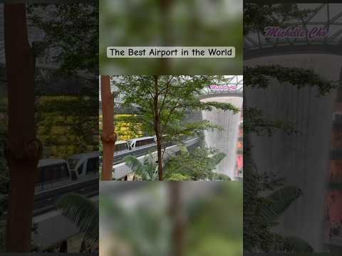Singapore Changi Airport #travel