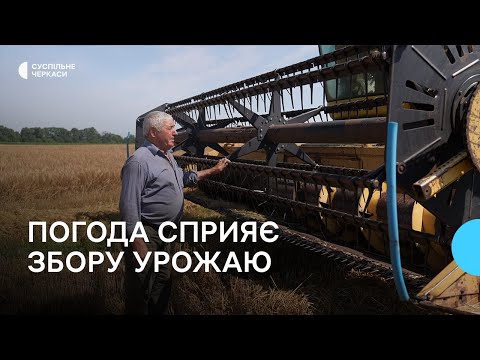 Техніки вистачає, на відміну від працівників: як проходять жнива на Черкащині
