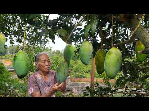 5 Ways to Use Mango in Traditional Chinese Cooking｜Guangxi Grandma