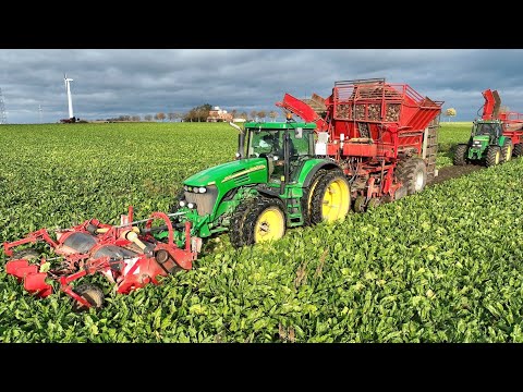 Zuckerrüben Ernte 2025 - Event - Großeinsatz von Landmaschinen & Traktoren - Eigenumbau Erntetechnik