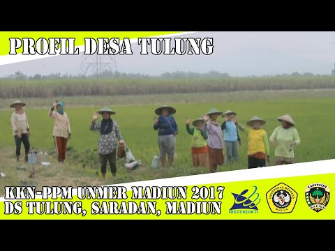 Profil Desa Tulung | KKN-PPM UNIVERSITAS MERDEKA MADIUN DS. TULUNG KEC. SARADAN KAB. MADIUN 2017