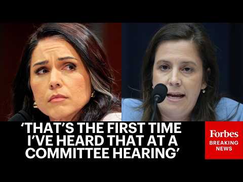 'Why Did You Say That?': Elise Stefanik Grills DNI Tulsi Gabbard On Her Opening Testimony