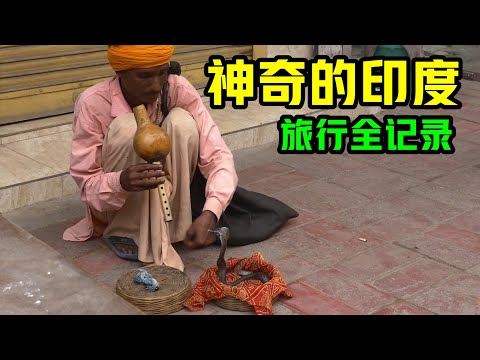 神奇的印度！世界上最奇葩的国家？神奇的印度之旅，一路上都是探险