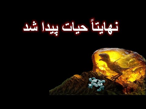 نشانه‌ی حیات باستانی در مریخ! آیا این سنگ، «تنهایی» بشر را پایان می‌دهد؟