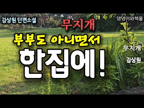 김상원/가슴 시린 이야기/이대로 홀아비로 살 수는 없다고 생각했다/책읽어주는여자 