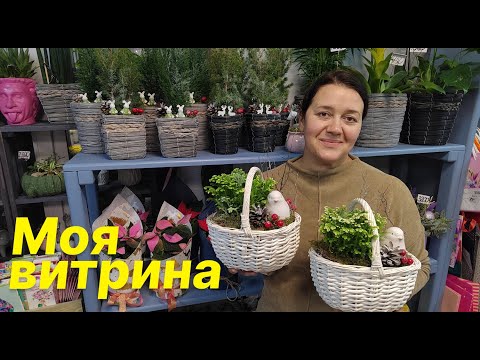 🌷Gift arrangement of potted flowers for the New Year