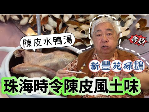 #粵語 🪿 新豐苑碌鵝 🉐 珠海時令陳皮風土味 🦆 陳皮水鴨湯 🤗 大灣區{珠海}必食推介 😎 韜滔有食神 2024.11.18.