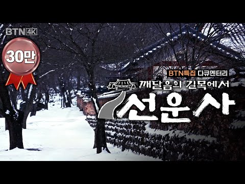 깨달음의 길목에서 | 천년고찰 선운사의 놀랄 만한 4계절의 풍경💥4K영상💥고화질