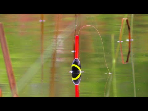 Такої риболовлі,🐟🐟 Я НЕ ОЧИКУВАВ.  Ловля карася на поплавок. Рибалка в Україні.1