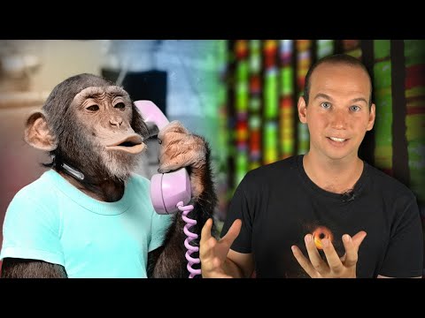 Does Behavior Have a Genetic Basis?