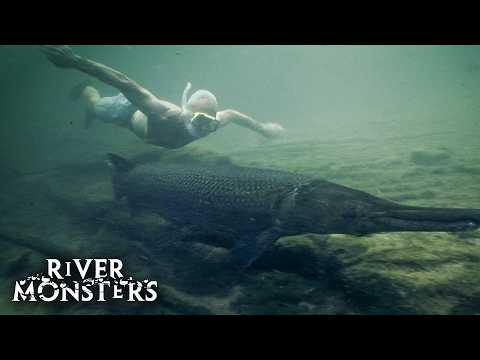 Jeremy Wade SWIMMING Up-Close With Deadly River Monsters