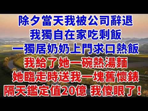 除夕當天我被公司辭退，我獨自在家吃剩飯，一獨居奶奶上門求口熱飯，我給了她一碗熱騰騰的熱湯面，她臨走時送我一塊舊懷表，隔天鑑定值20億 我傻眼了！#故事#言情小說#夕陽書卷#爽文