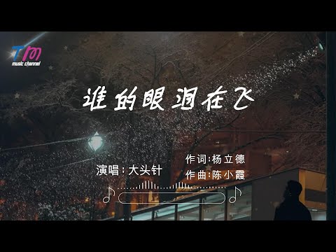 大头针 - 谁的眼泪在飞 (深情烟嗓男版)『今天的眼淚還在等 每天都有流星不斷下墜』【動態歌詞MV】♫ (原唱: 孟庭葦) ·翻唱歌曲