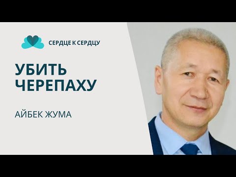 Айбек Жума - убить черепаху