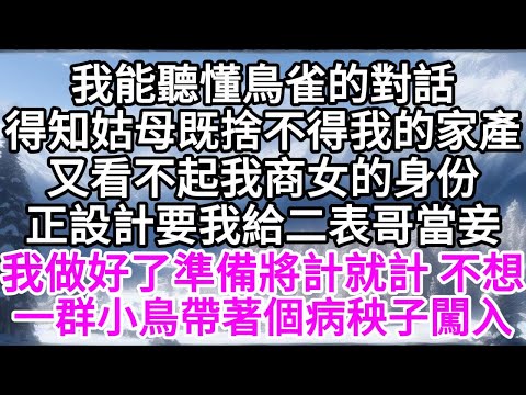 我能聽懂鳥雀的對話，得知姑母既捨不得我的家產，又看不起我商女的身份，正設計要我給二表哥當妾，我做好了準備將計就計，不想，一群小鳥帶著個病秧子闖入 【美好人生】