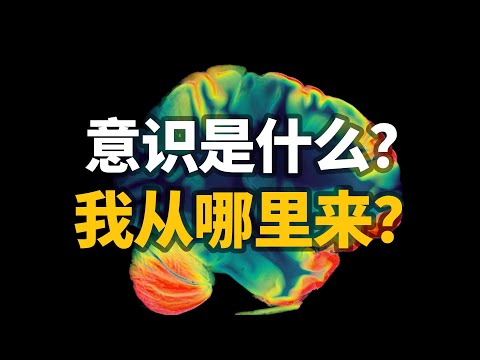 感觉意识是如何产生的？意识是世界内秉的属性吗？【意识起源第二期】