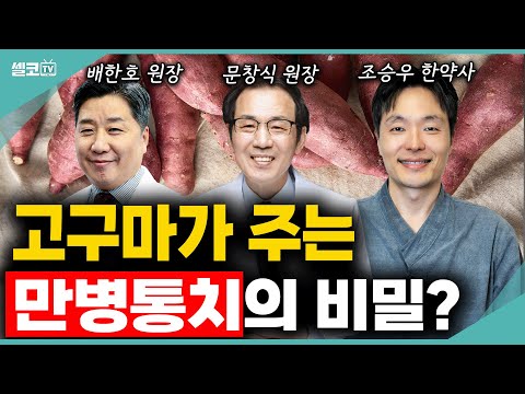 고혈압에서 암까지~ 대동단결! 고구마 하나로 내 몸 지키는 방법, 이렇게 꼭 드세요  (조승우 한약사, 배한호 원장, 문창식 원장 통합)