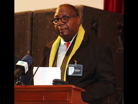 Pr Théophile OBENGA : l'urgence de la création d'un Etat Fédéral Panafricain